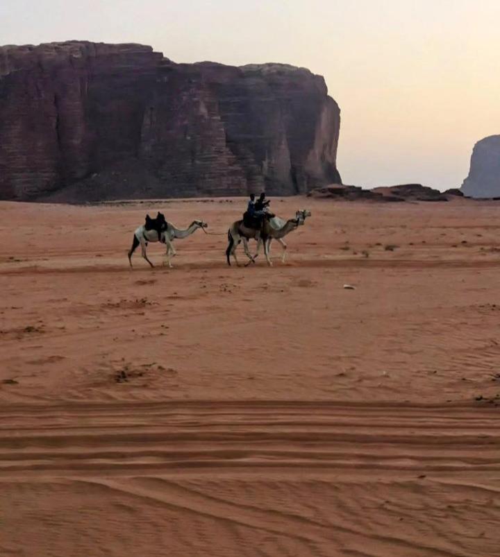 Wadi Rum Secrets Camp 외부 사진